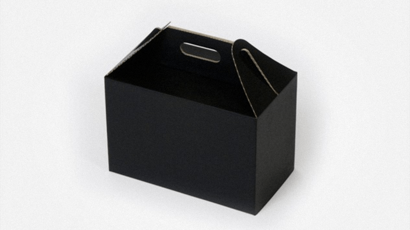 Take Away Carry Boxes